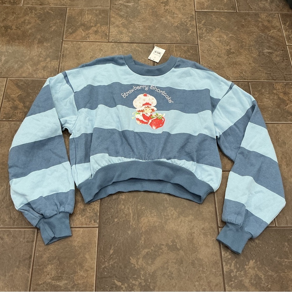 🥵 Blue Striped Strawberry Shortcake Sweatshirt